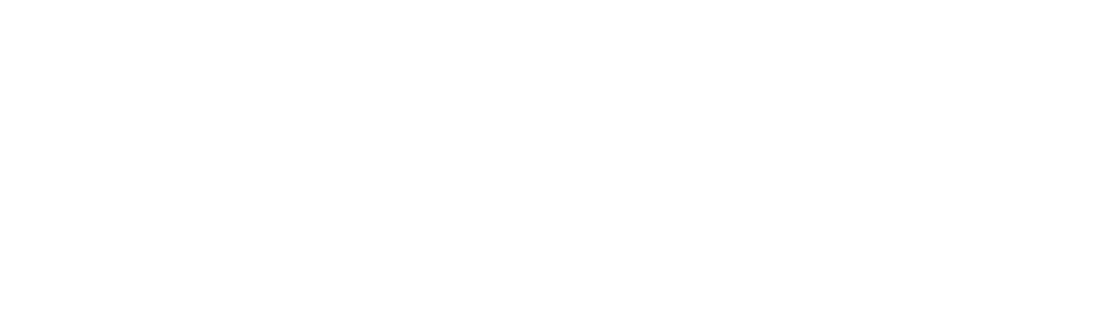 Systemise & Scale